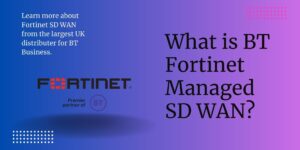 What is the BT Fortinet Managed SD WAN solution?