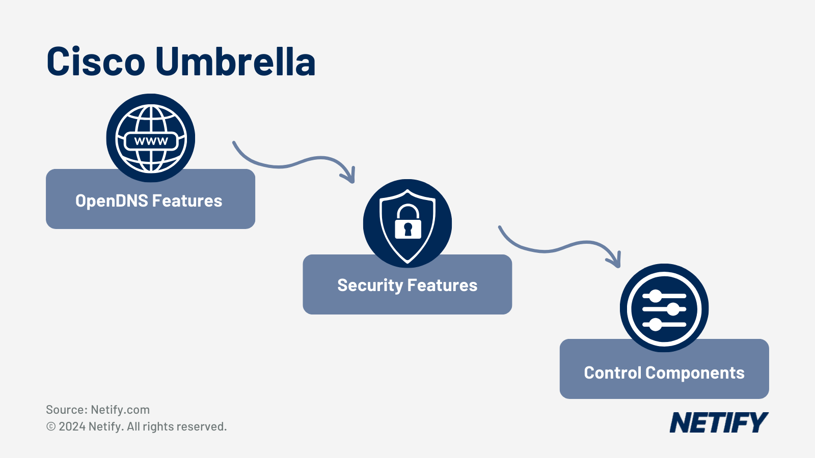 Buyer’s Guide to Cisco Umbrella Professional - Netify